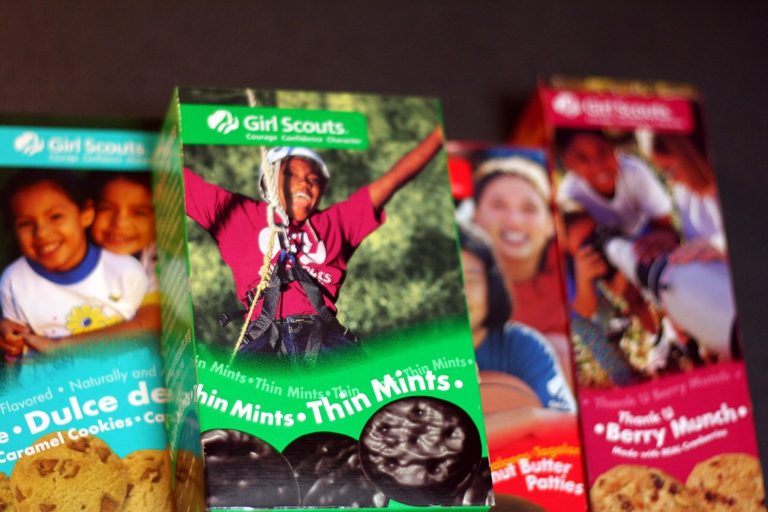 Girl Scouts Celebrating 94 Years!