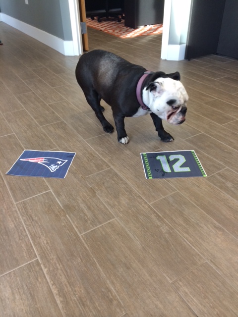 Custom Flag Company Super Bowl