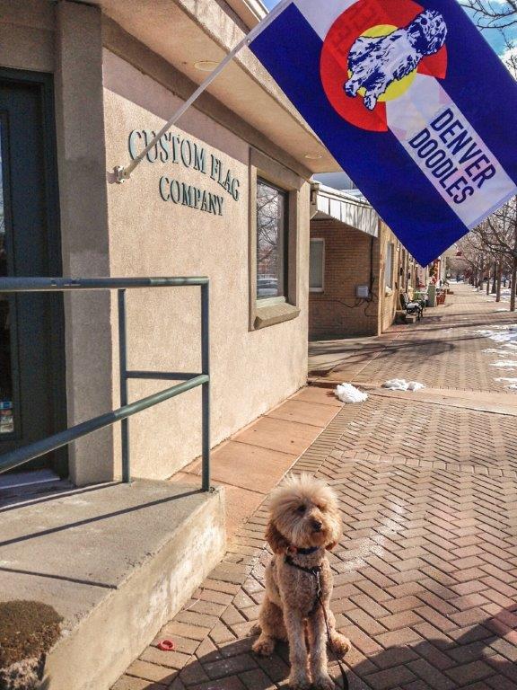 Flag of the week Denver Doodles