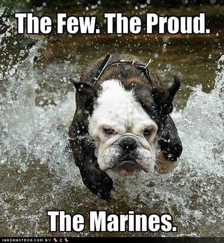 Custom Flag Company Marine Proud