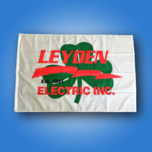 Leyden Electric