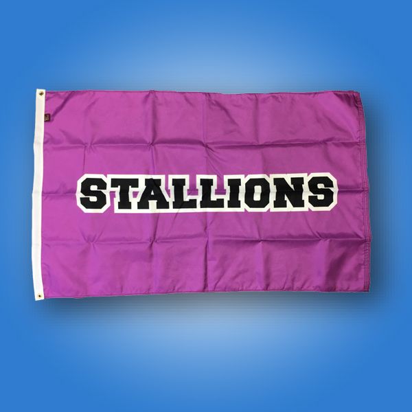 Custom Flag Company Stallions