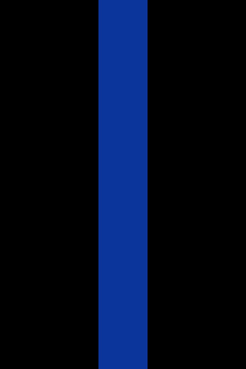 Thin Blue Line Flag
