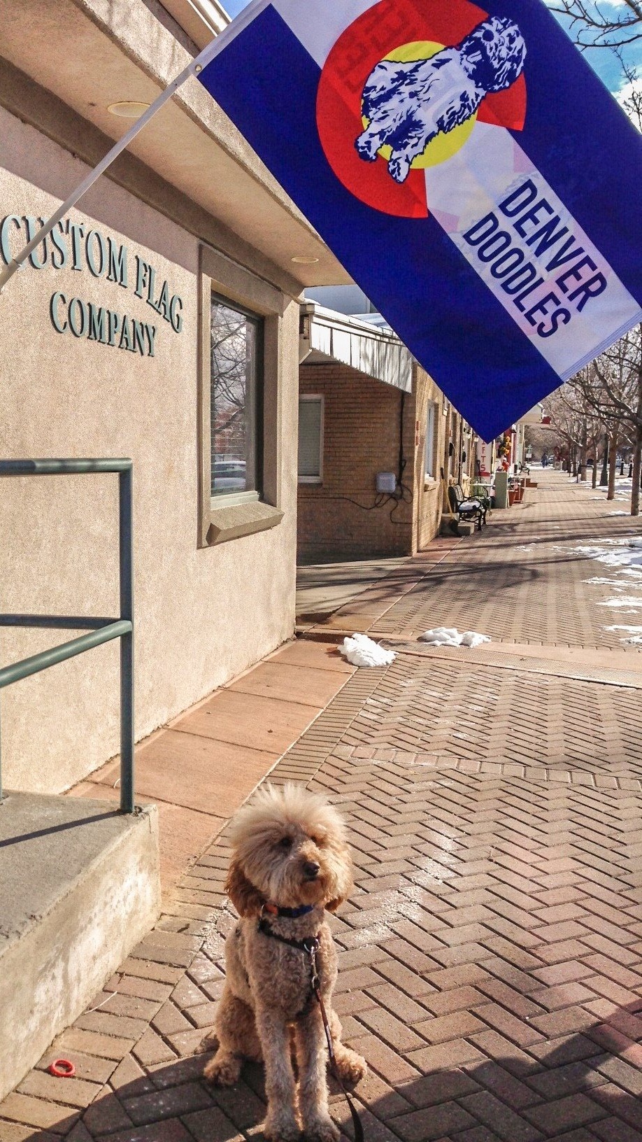 Custom Flag Company pet flags
