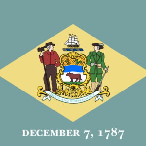 Custom Flag Company State of Delaware Flag