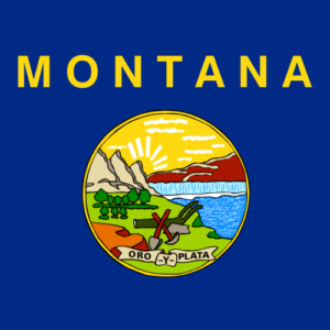Custom Flag Company State of Montana Flag