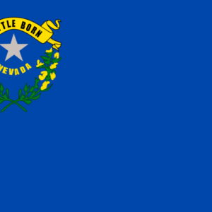 Custom Flag Company State of Nevada Flag