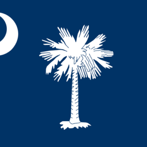 Custom Flag Company State of South Carolina Flag