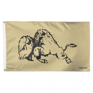 Custom Flag Company CU Buffaloes Vault Flag