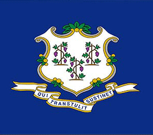 Custom Flag Company State of Connecticut Flag