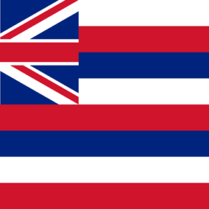 Hawaii State Flag