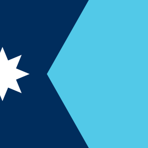 Minnesota State Flag