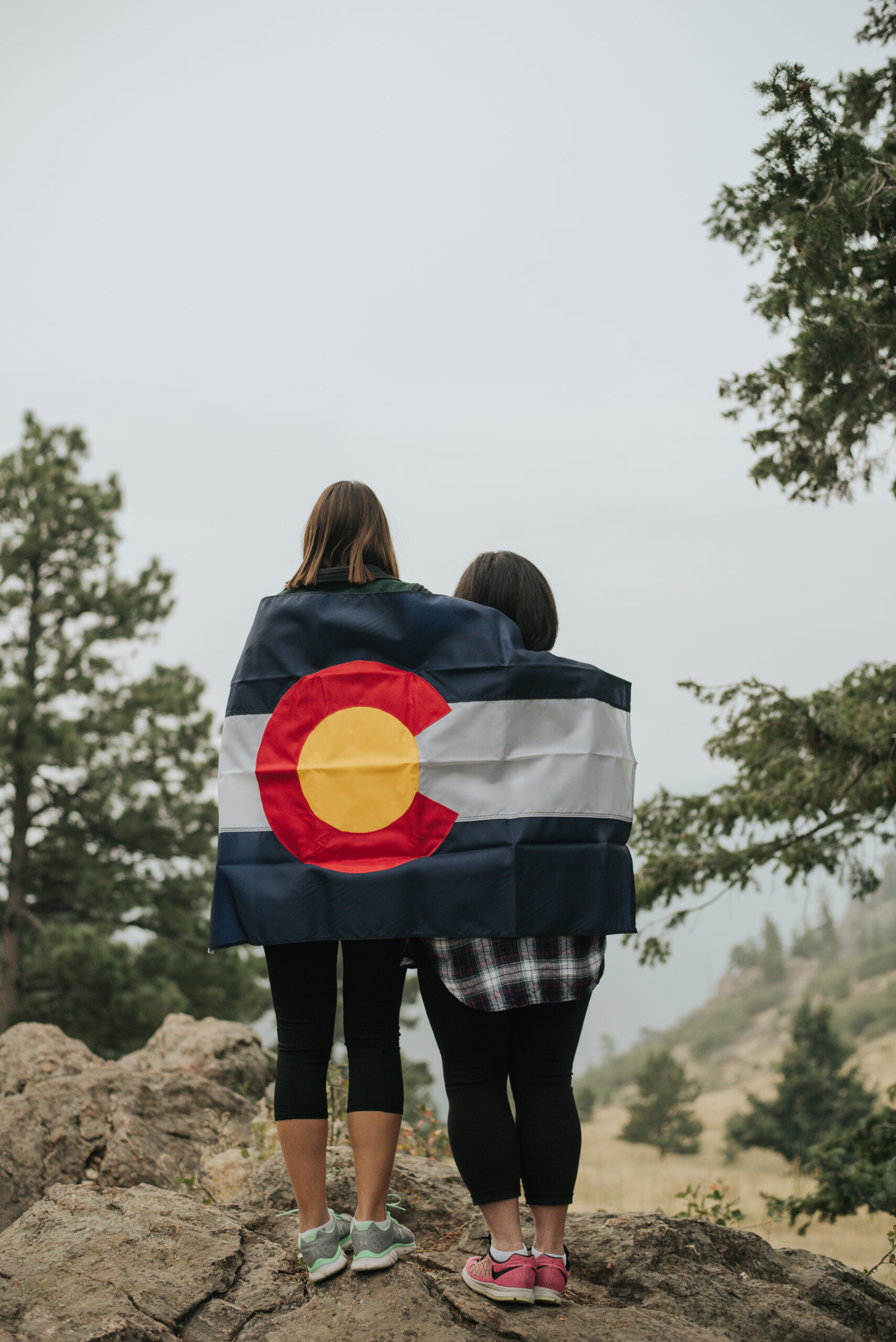 Colorado State Flag