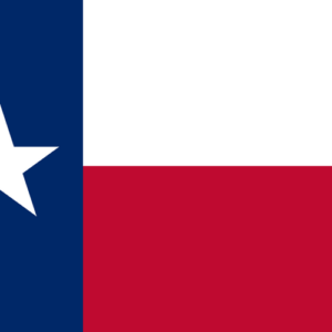 Custom Flag Company State of Texas Flag
