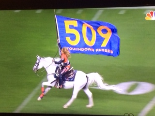 Custom Made Flags