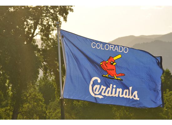 Custom Made Flags