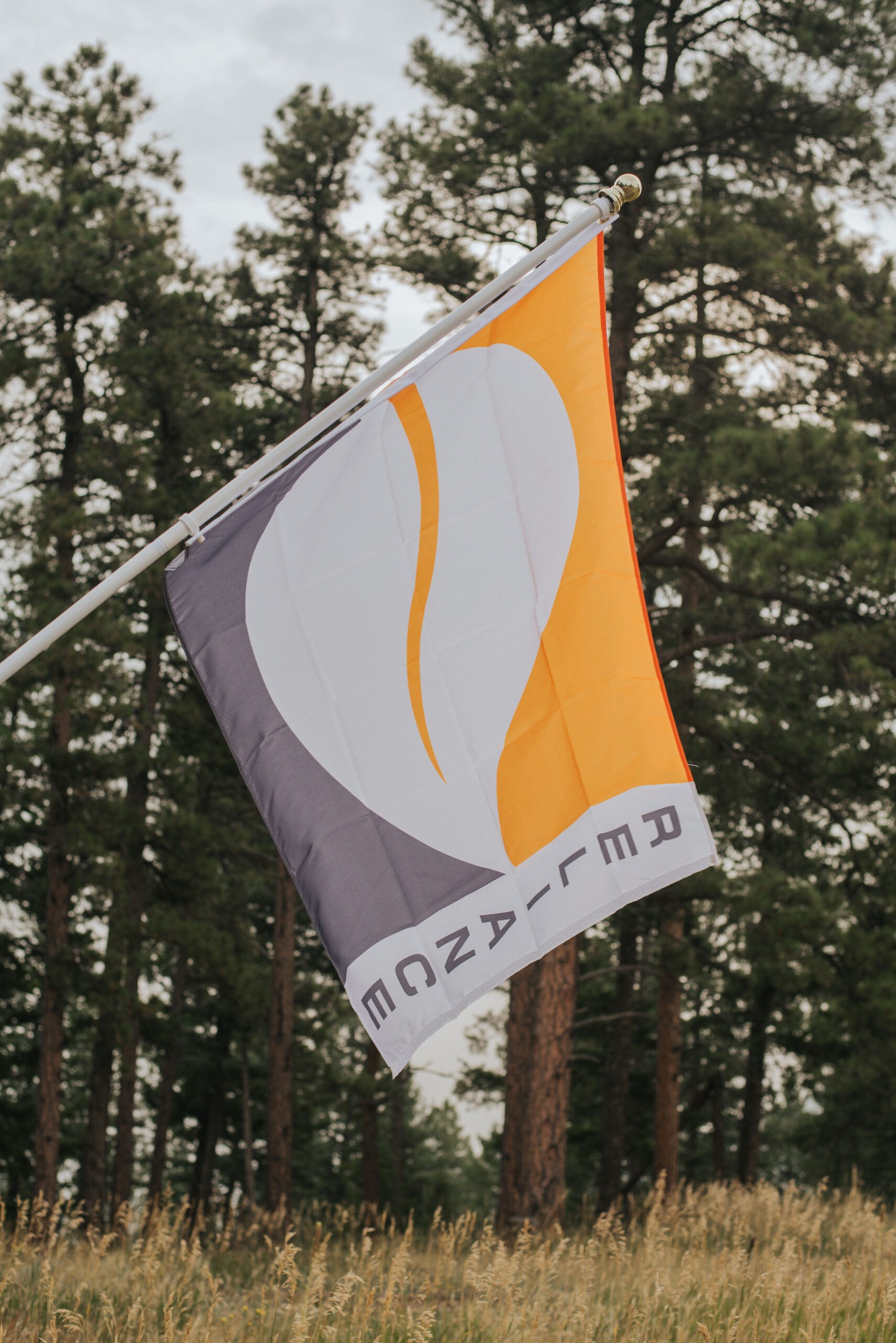 Reliance custom flag