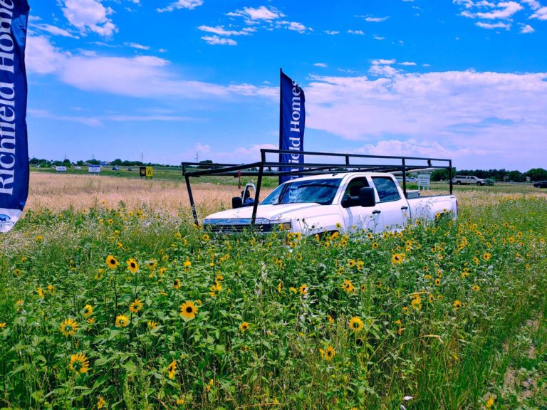 Flagpole Service in Colorful Colorado
