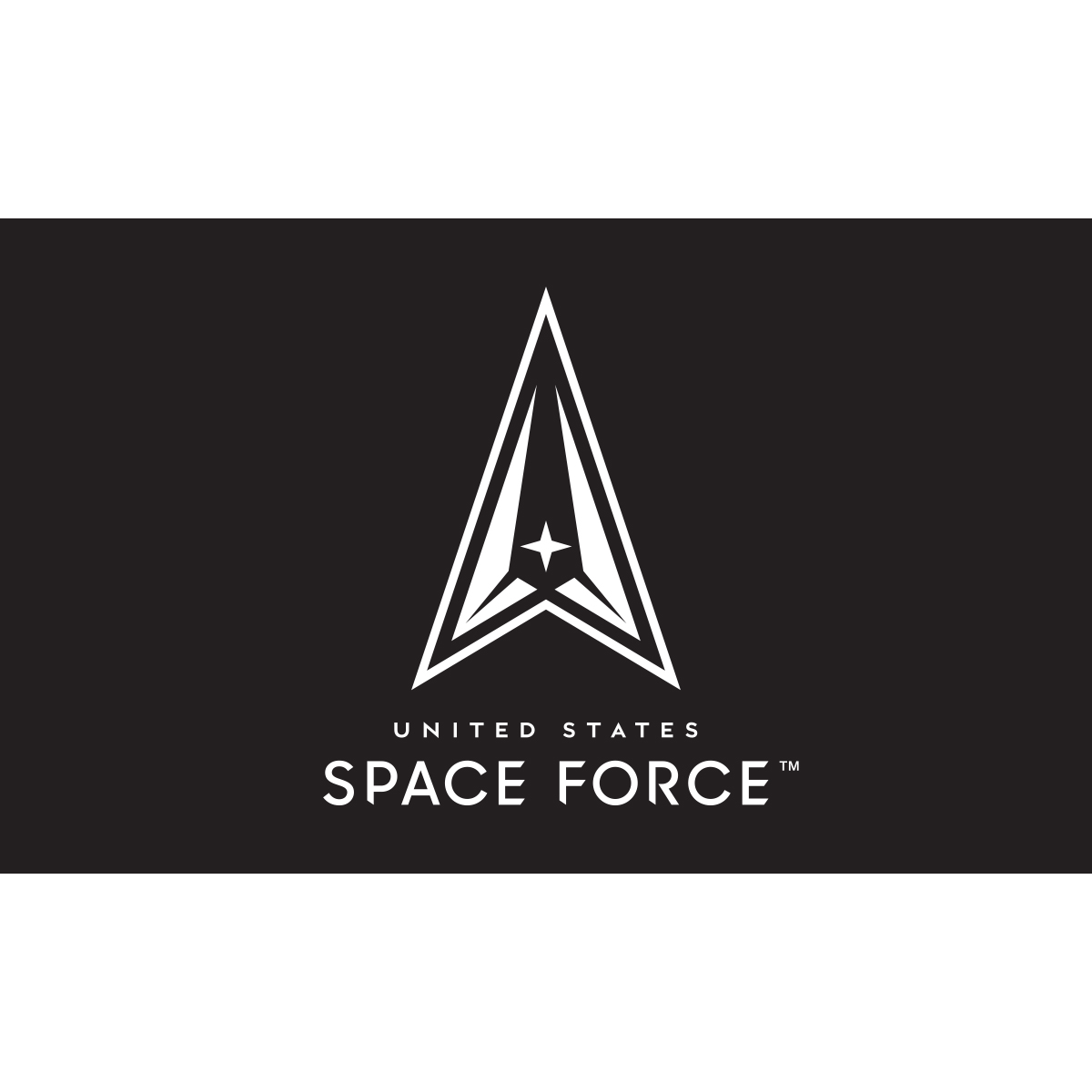 Space Force Flag