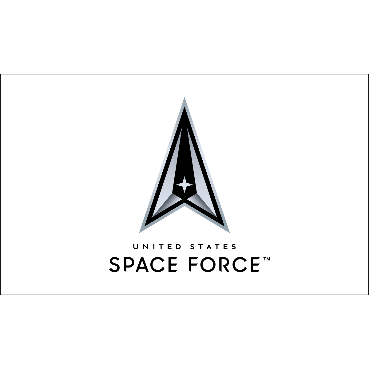 White Space Force Flag