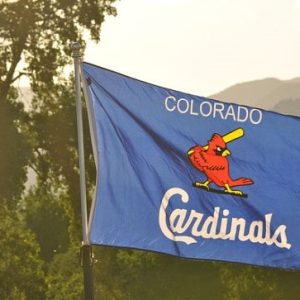 Custom Fundraising Flags