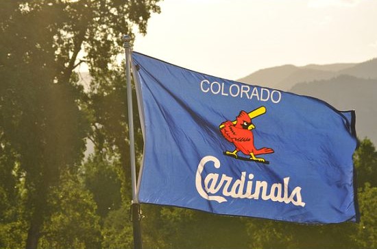 Custom Fundraising Flags