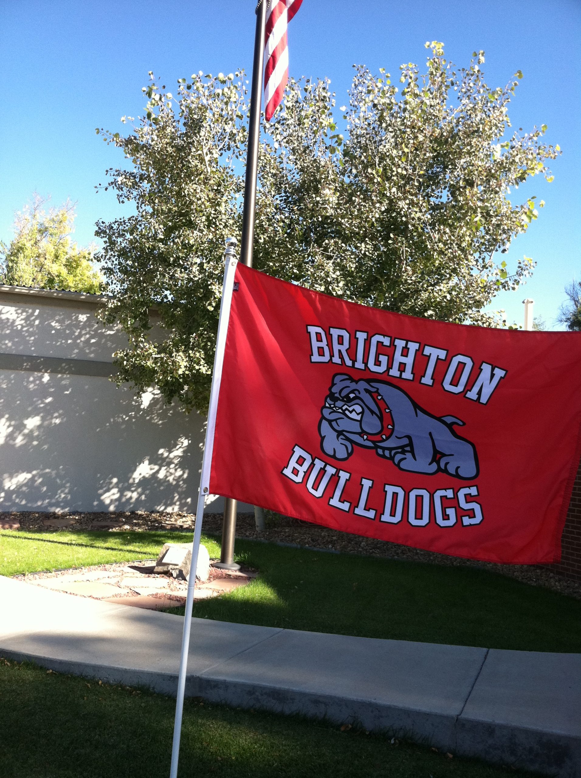 Custom Fundraising Flags