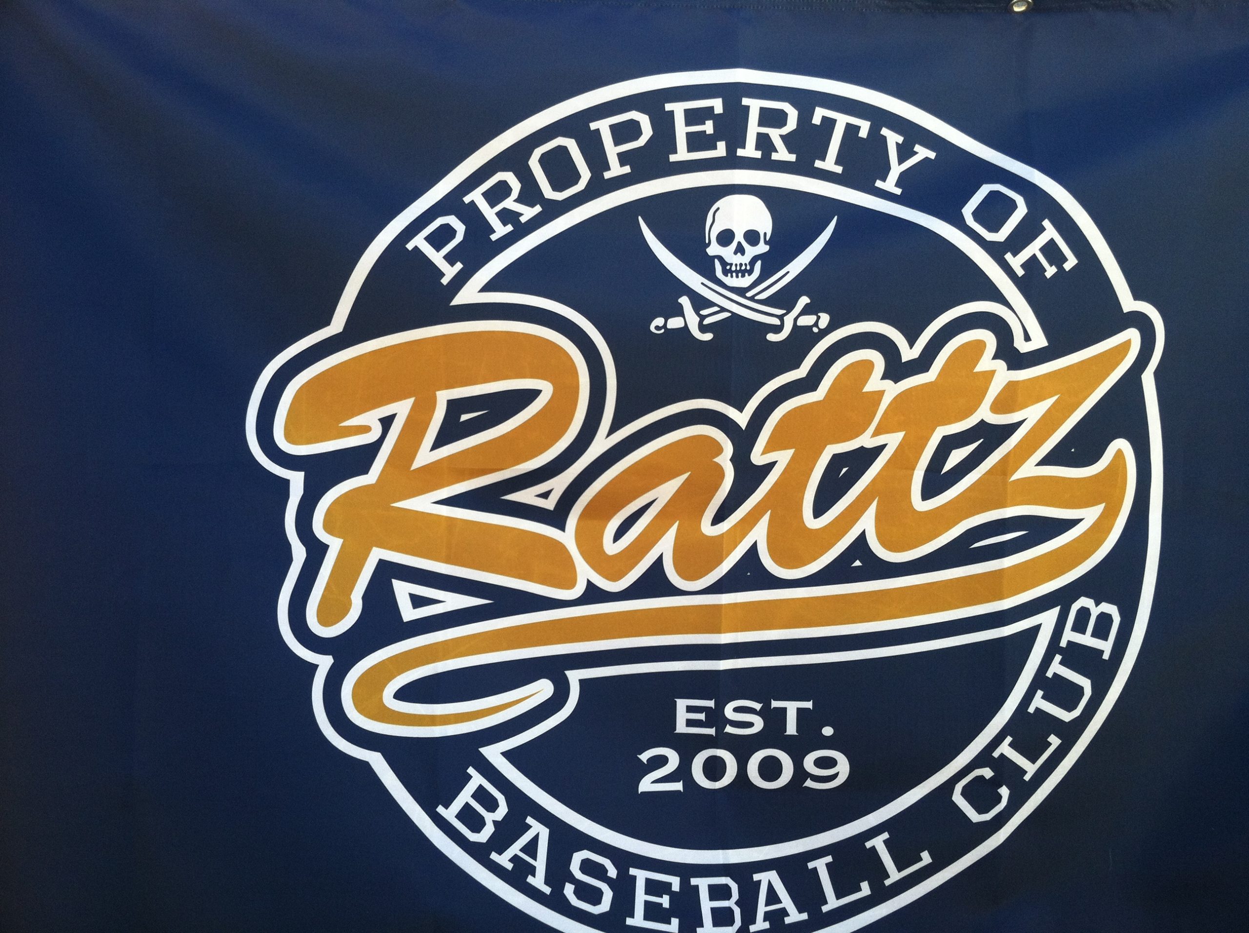 Custom Fundraising Flags